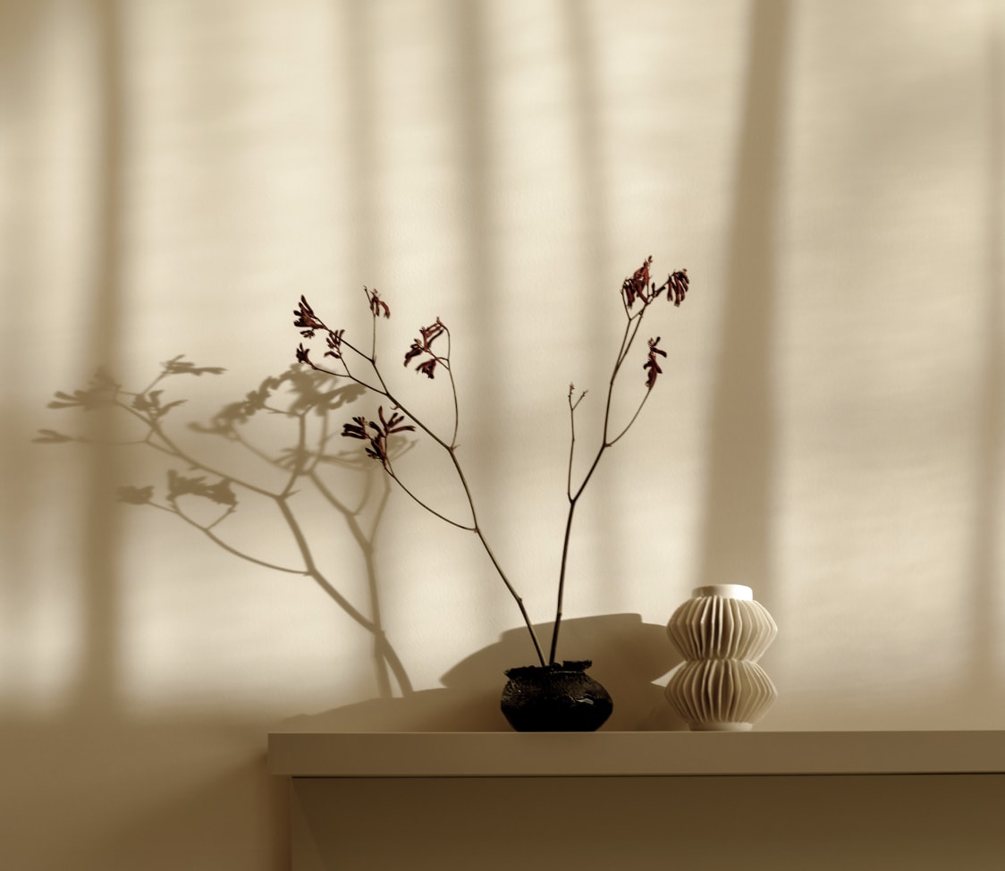 Jewel Box